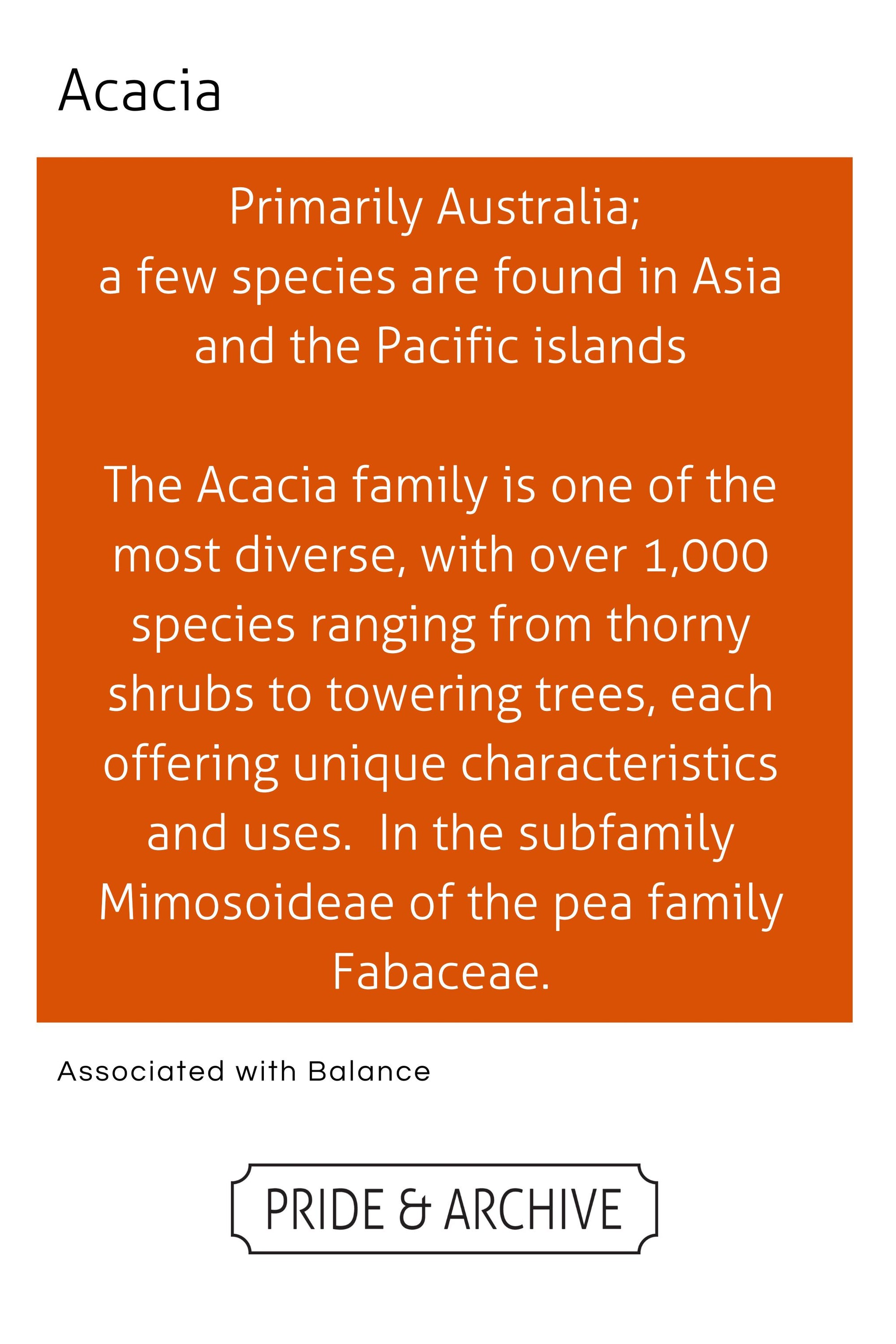 Informational text about Acacia trees and shrubs on an orange background with white text.