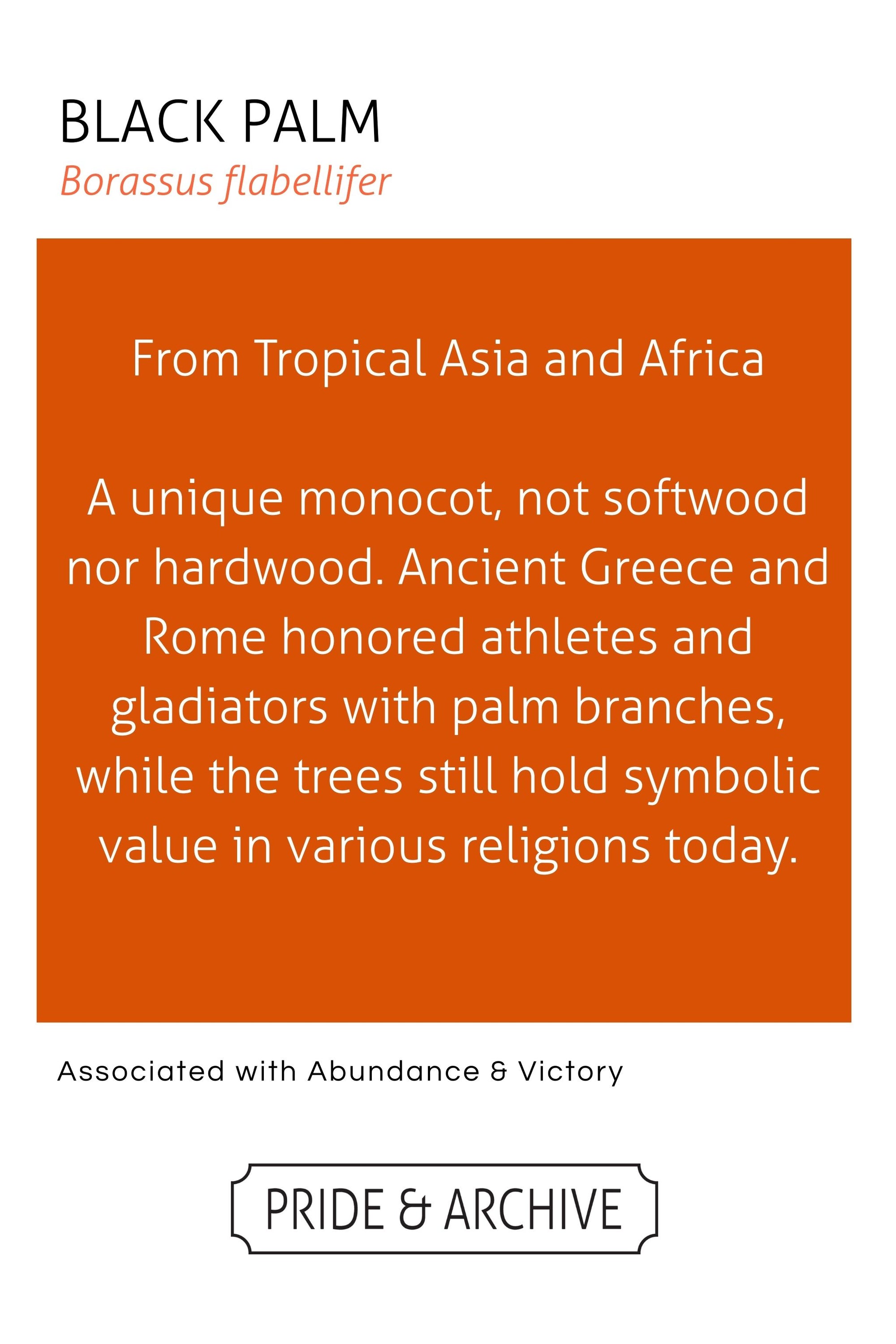 Informational card about Black Palm with text and branding at the bottom.