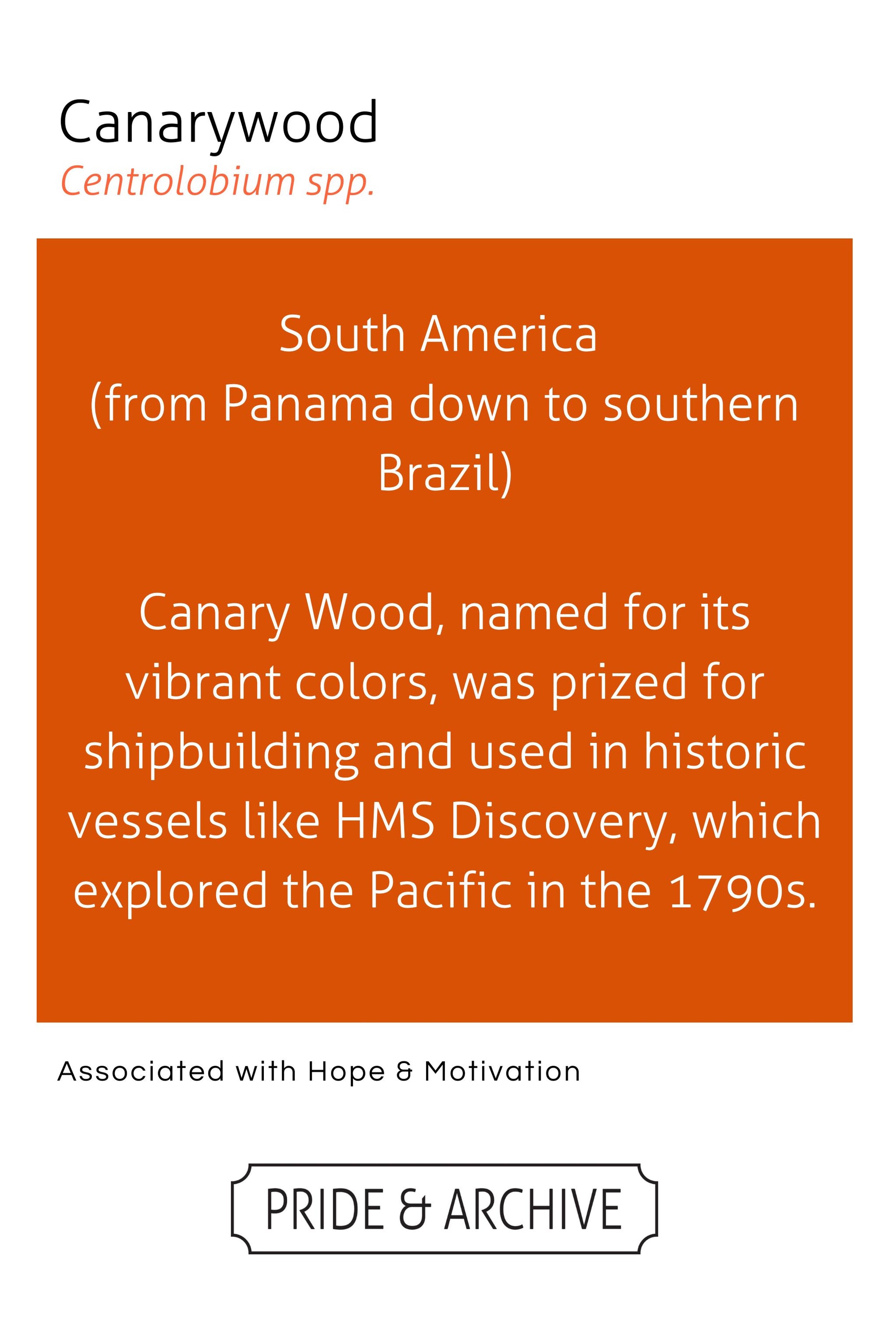 Canarywood Key Chain