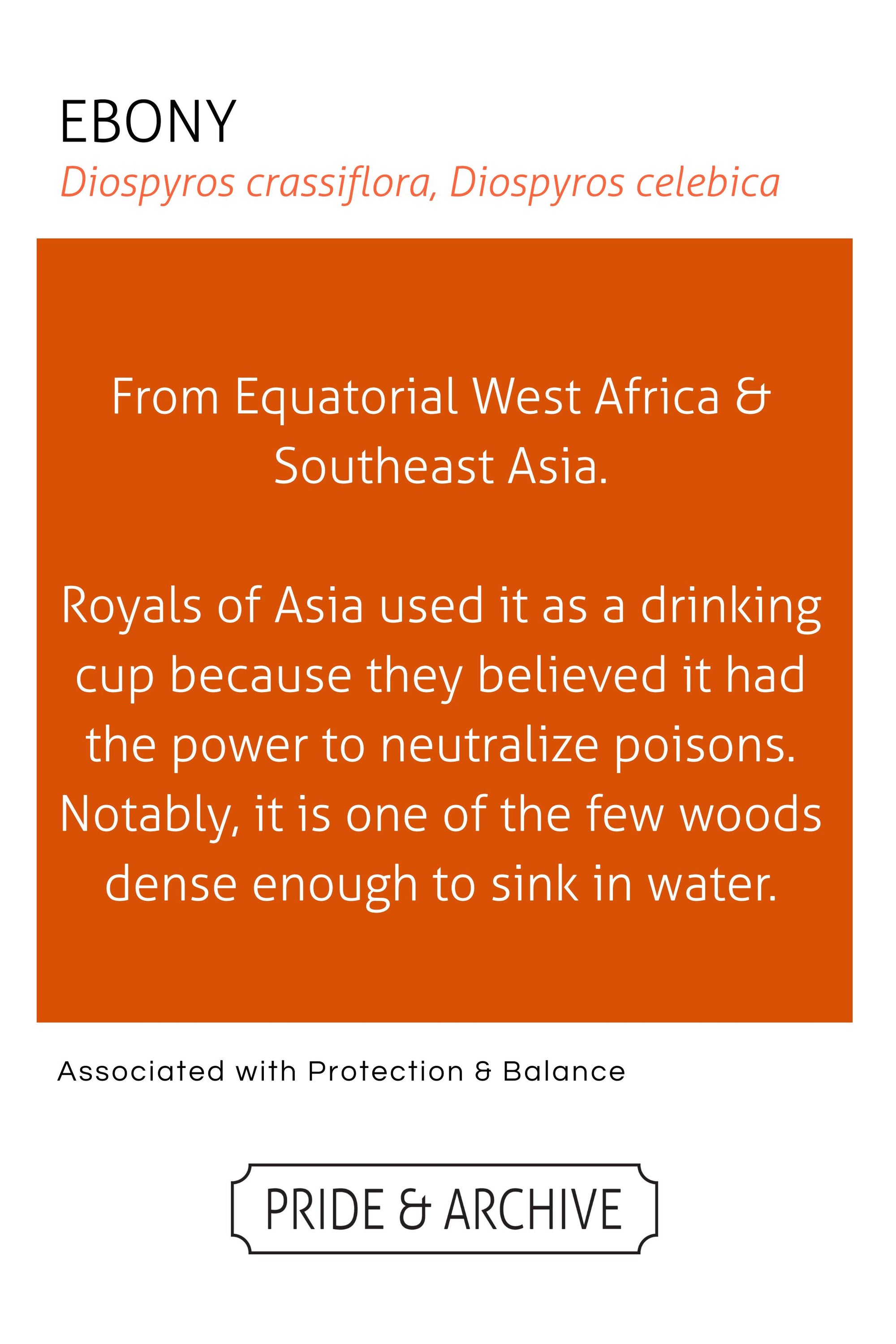 Ebony Asymmetrical Earrings