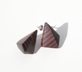Geometric wood earrings with silver stud showing. 