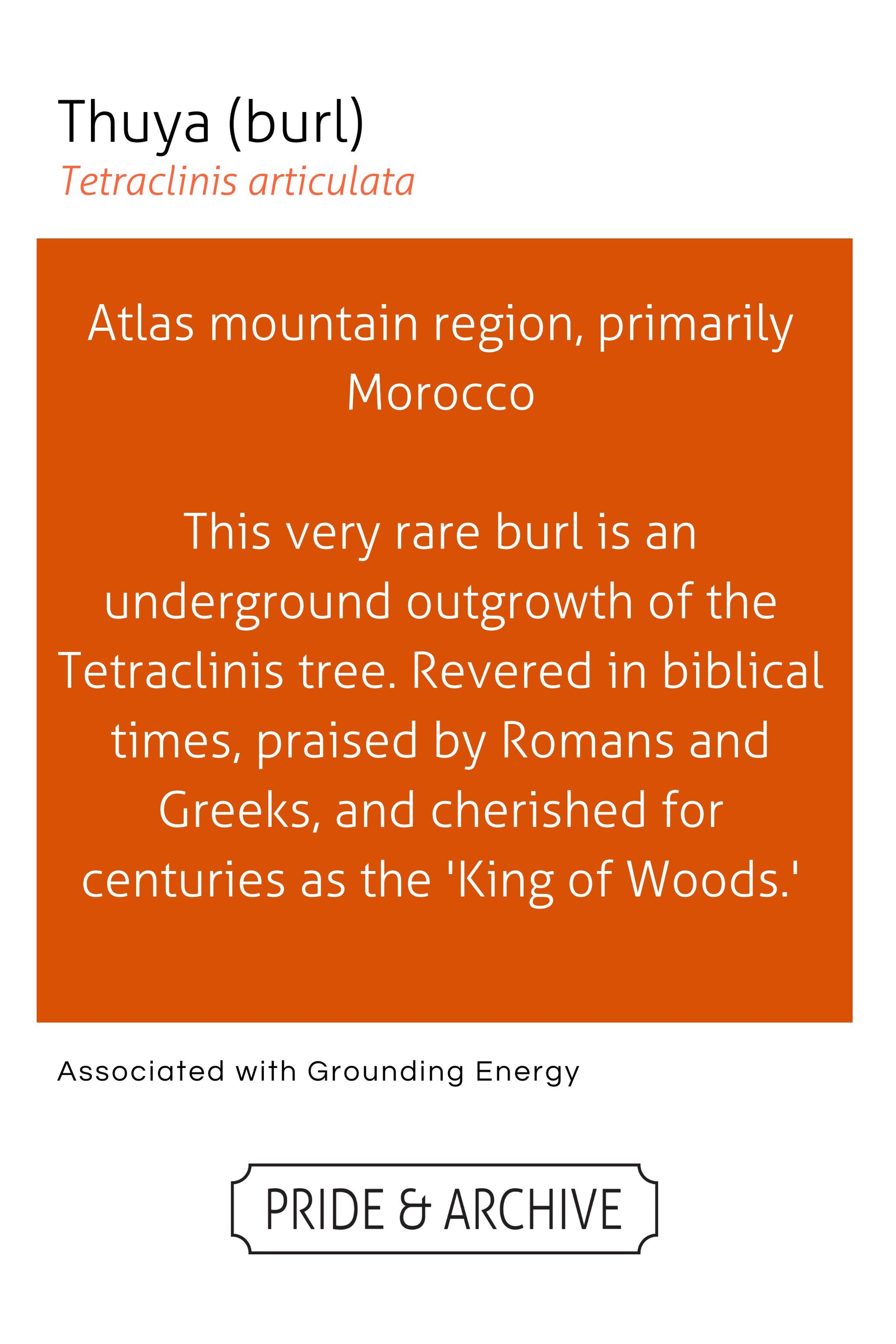 Informational text about Thuya burl on an orange background with white text.